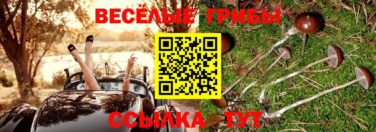 Крымск  Галлюциногенные грибы Psilocybe  Вход с VPN 